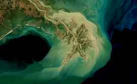 В Мексиканском заливе летом образуется огромная бескислородная зона размером с Багамы