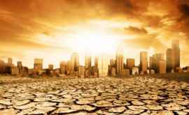 Экстремальные температуры будут наблюдаться к концу века на 58 поверхности Земли