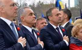 În ce comisii parlamentare vor activa Plahotniuc Candu și Filip