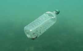 Гринпис Реки Великобритании задыхаются от пластика
