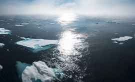 Гренландия за день потеряла 125 млрд т льда Это новый рекорд