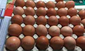 В одном из столичных детских садов детей кормят просроченными яйцами