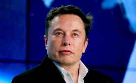 Elon Musk a vrut să cumpere un site de satiră