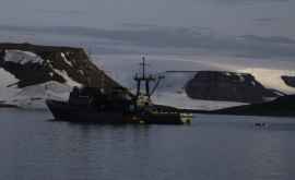 Военный катер РФ затонул в Арктике после нападения моржей