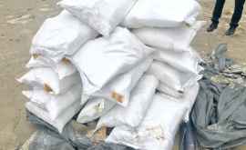 Две тонны соли хранились на предприятии в антисанитарных условиях
