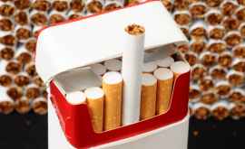 Предложено указывать на сигаретах сколько минут жизни теряют курильщики с каждой затяжкой 