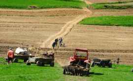 В Молдове начнется борьба с деградацией сельскохозяйственных земель