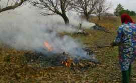 Amenzi usturătoare Cît vor plăti moldovenii prinși că dau foc la frunze