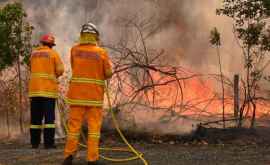 В Австралии пожарные спасли дом и оставили владельцу записку