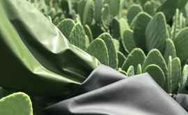 Noua invenție Piele artificială din cactus