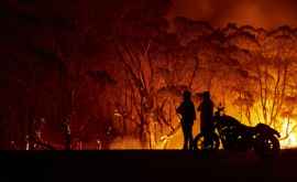 Пожары на юговостоке Австралии выходят изпод контроля