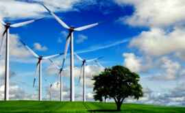 Благодаря ветреной погоде в Британии установлен рекорд возобновляемой энергетики 