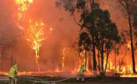В Австралии увеличился риск пожара растительности