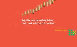 Ajută un producător mic să rămână voinic sau cum susținem producătorii mici de vinuri în perioada crizei