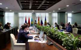 Молдова впервые участвовала в Коллегии Евразийской экономической комиссии 