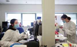 China se spală pe mîini A fost publicat genomul coronavirusului din Beijing