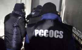 Procurorii PCCOCS și ofițerii Fulger au făcut percheziții la două companii de transport