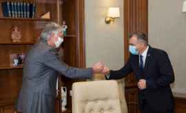 Ион Кику встретился с послом Венгрии