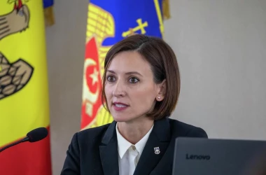 Dragalin a comentat demisia celor nouă procurori anticorupției 