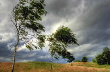 Meteorologii anunță cod galben de vînt