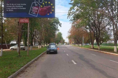 În Moldova a fost lansată campania: „Fructul bun se cumpără repede”